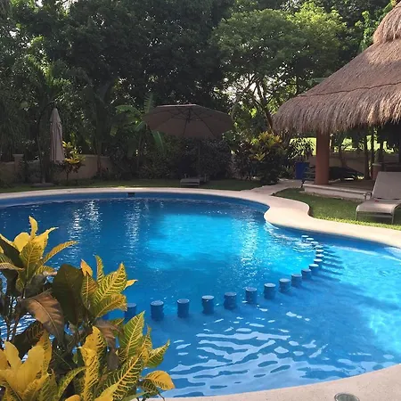 Casa Camelia B&B