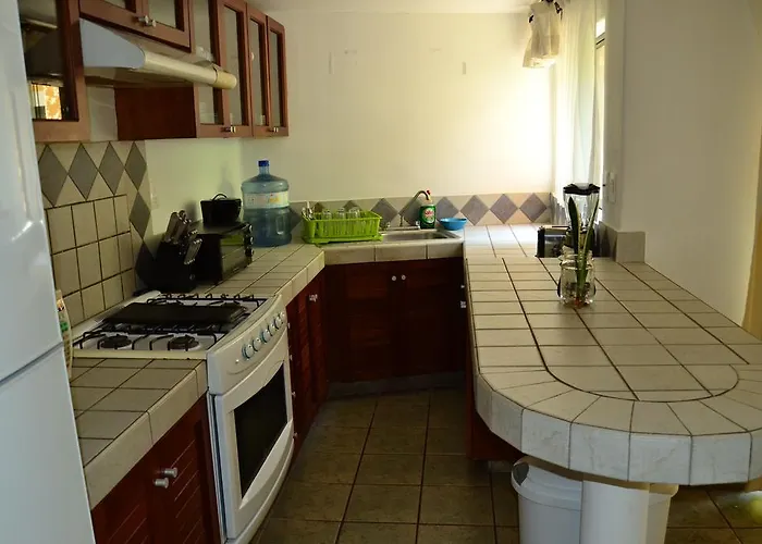 Acomodação com café da manhã  Casa Camelia