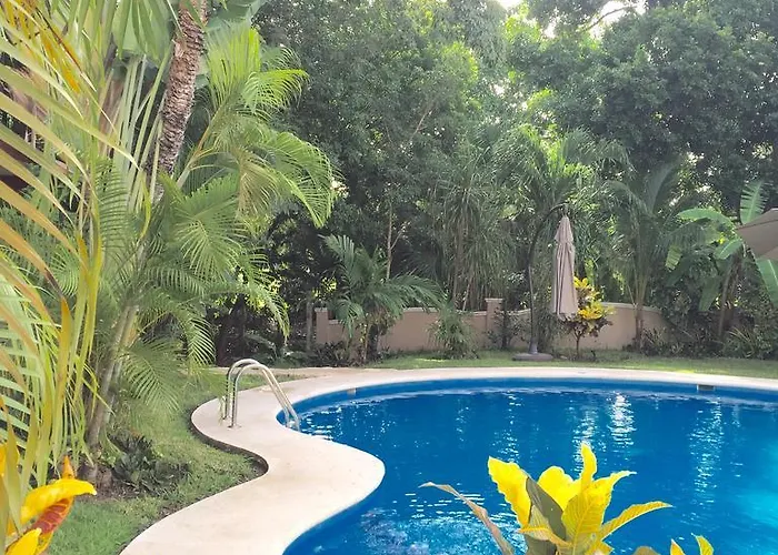 Acomodação com café da manhã  Casa Camelia Playa del Carmen