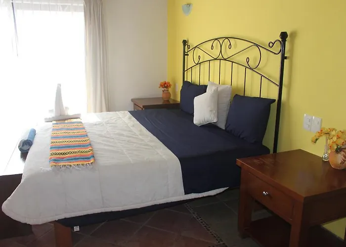 Acomodação com café da manhã  Casa Camelia