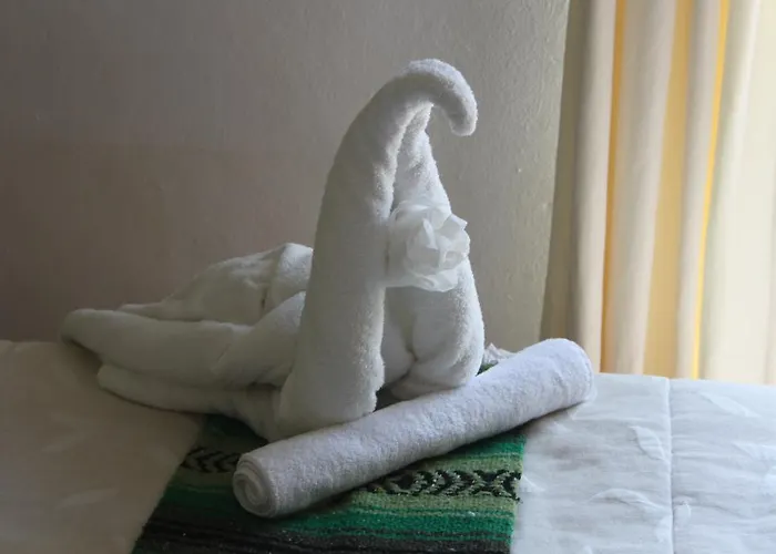 Casa Camelia 2*