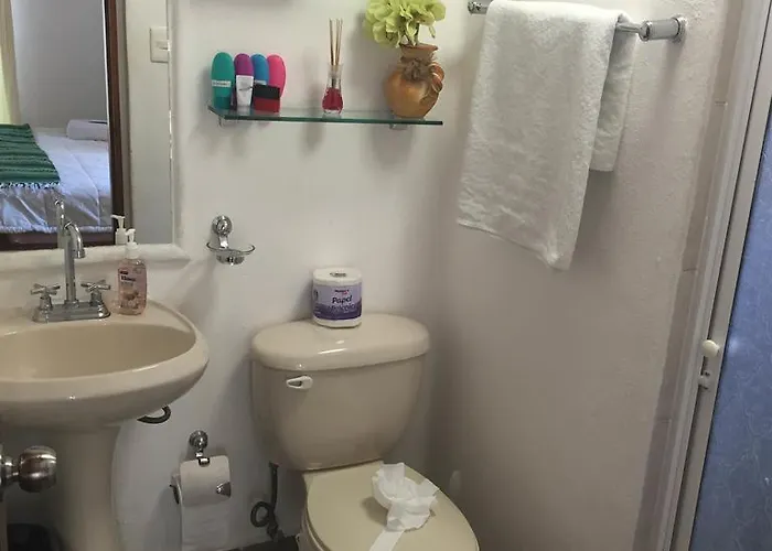 Casa Camelia 2*