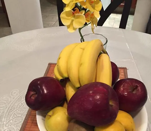 Casa Camelia Acomodação com café da manhã  Playa del Carmen