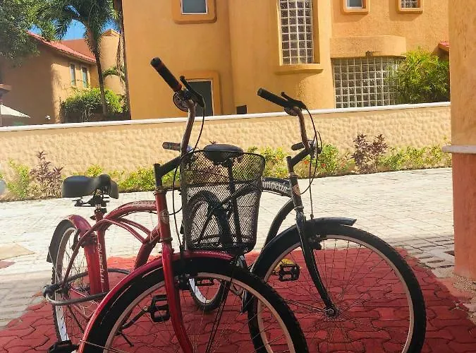 Acomodação com café da manhã  Casa Camelia